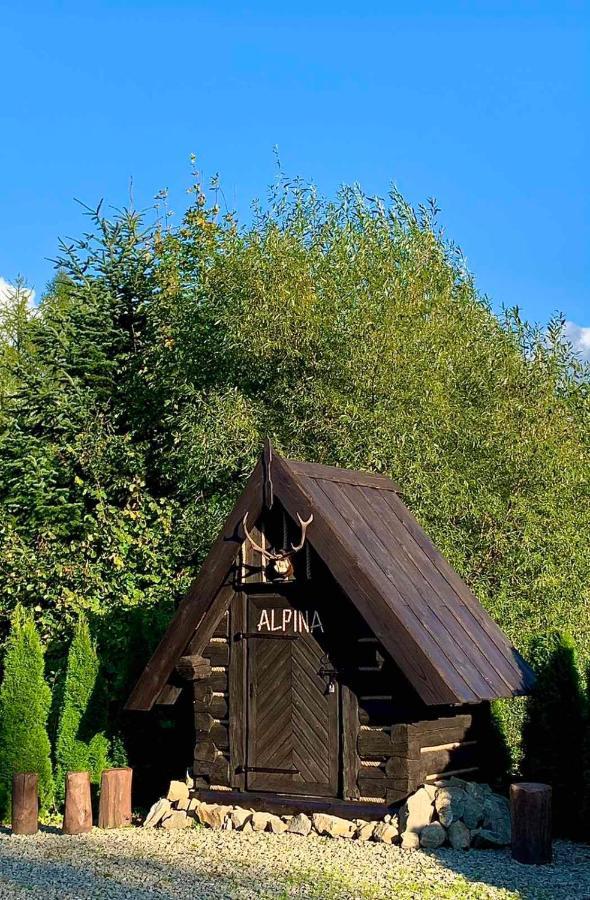 Hotel Alpina à Krynica-Zdrój Extérieur photo
